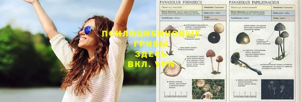 прущая мука Бородино