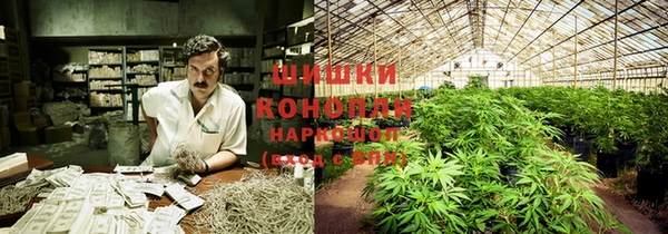 прущая мука Бородино