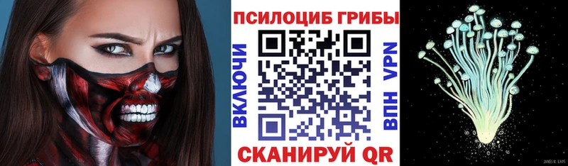 где купить наркоту  Нерехта  Псилоцибиновые грибы GOLDEN TEACHER 